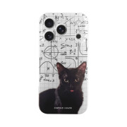 Husa CENTO-K Problem Solved Iphone 17 Pro Max/18 Pro Max (1m) F1